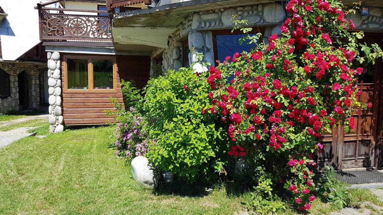 Antonowka Villa Trybsz Exteriör bild