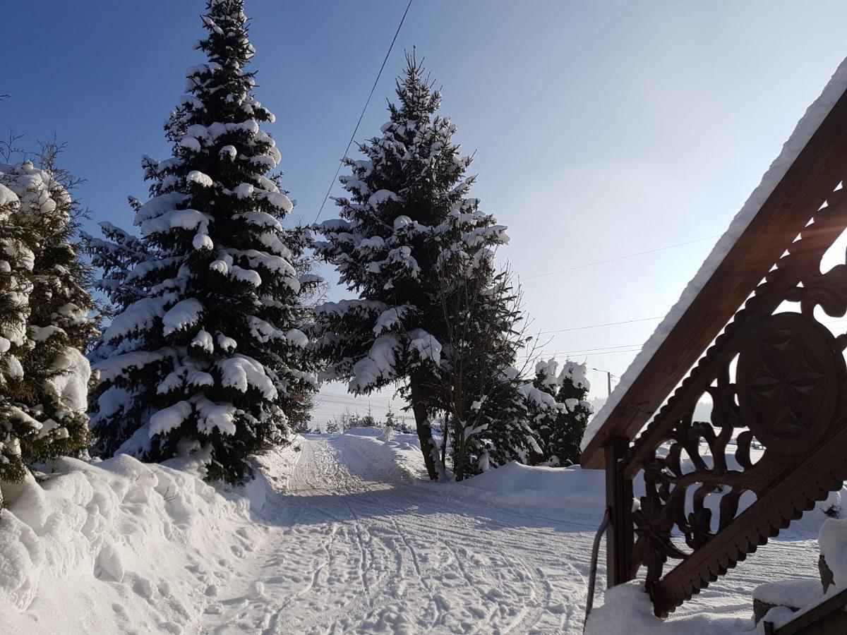 Antonowka Villa Trybsz Exteriör bild